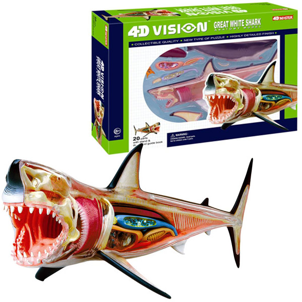 4d vision great white shark