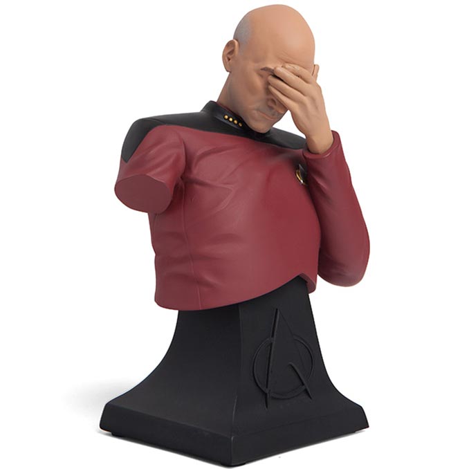 Captain-Picard-Facepalm-Bust.jpg