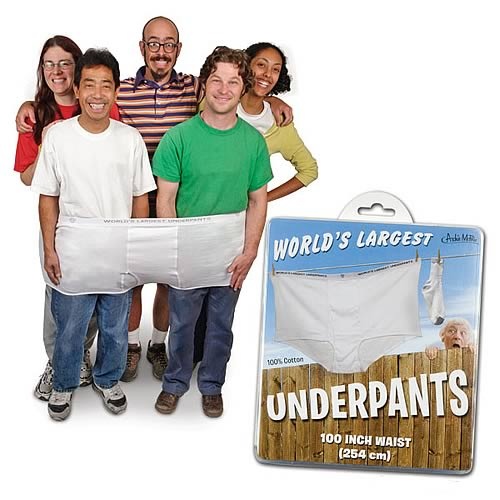 https://www.geekalerts.com/u/Worlds-Largest-Underpants.jpg